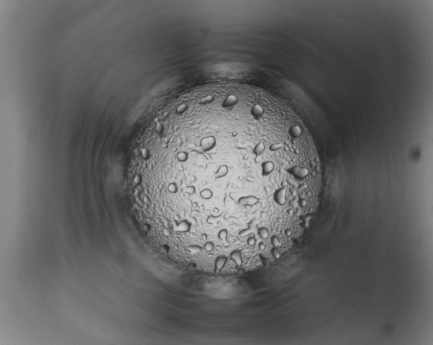 X0000111450377200907201055
