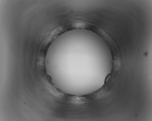 X0000111450379200907201055