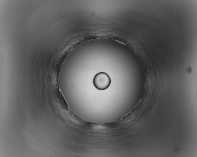 X0000111450380200907201055