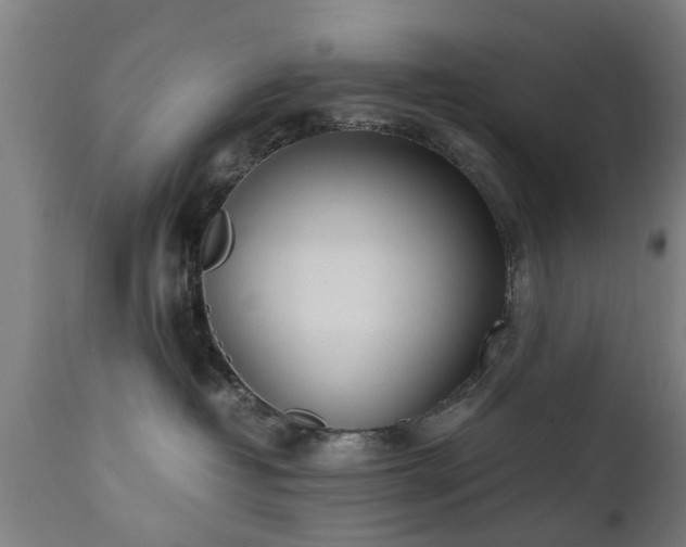 X0000111450382200907201055