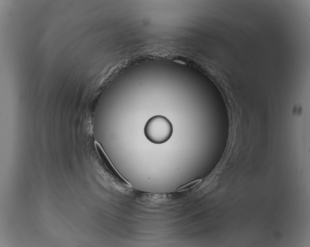 X0000111450384200907201055