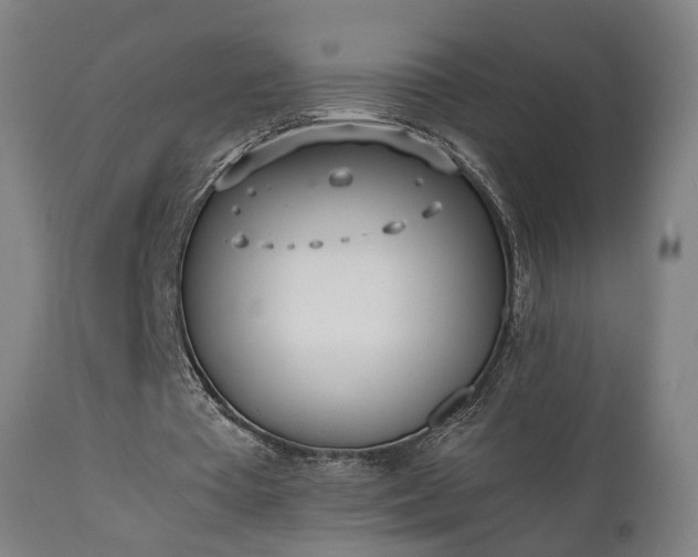 X0000111450385200907201054