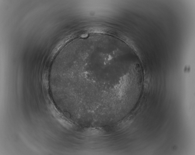 X0000111450386200907201054