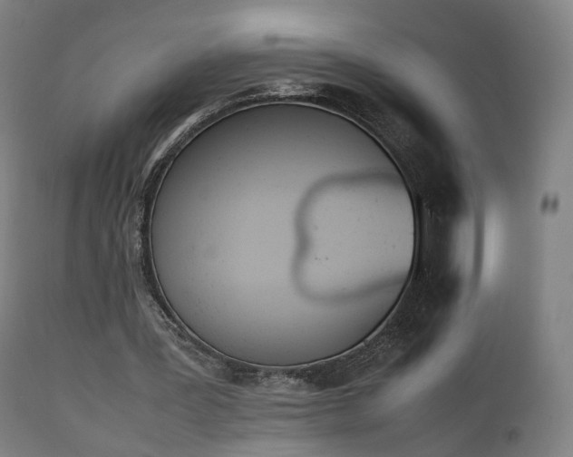 X0000111450387200907201054