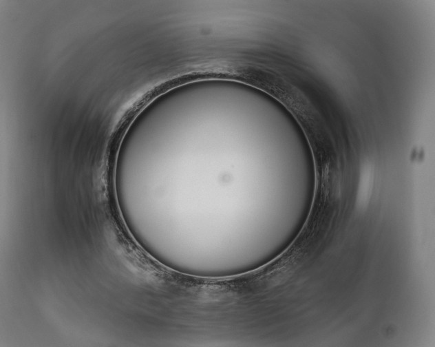 X0000111450388200907201054