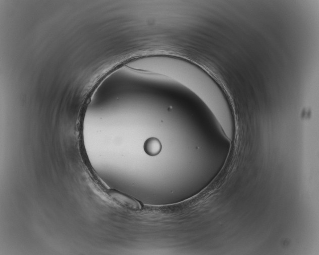 X0000111450389200907201054