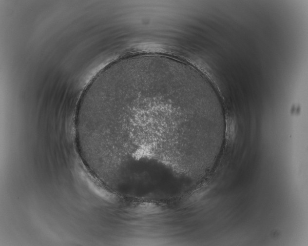 X0000111450390200907201054