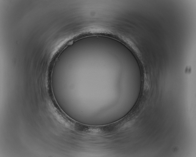 X0000111450391200907201054