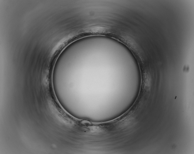 X0000111450392200907201054