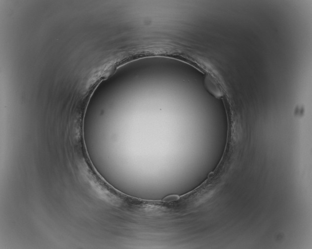 X0000111450393200907201054