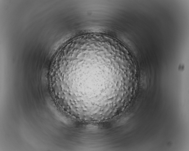 X0000111450394200907201054