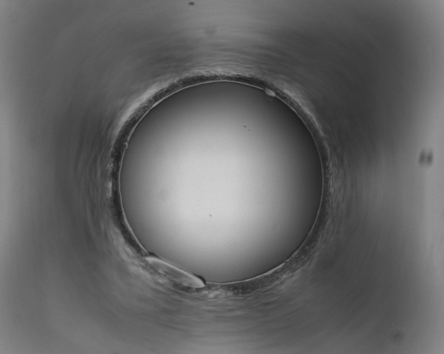 X0000111450395200907201054