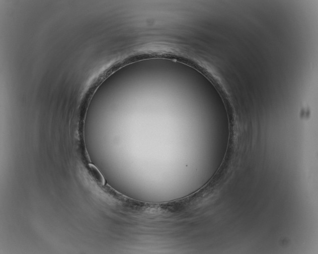 X0000111450399200907201054