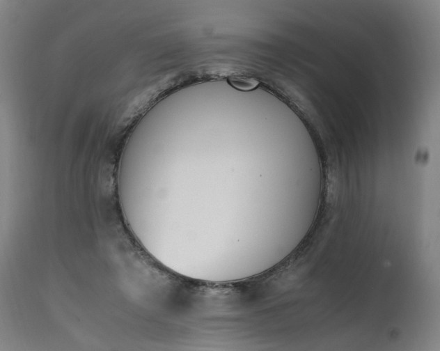 X0000111450401200907201054