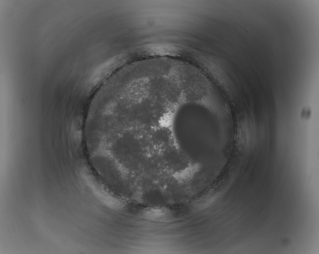 X0000111450402200907201054