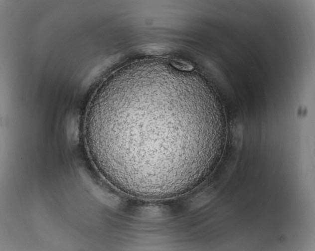 X0000111450404200907201054
