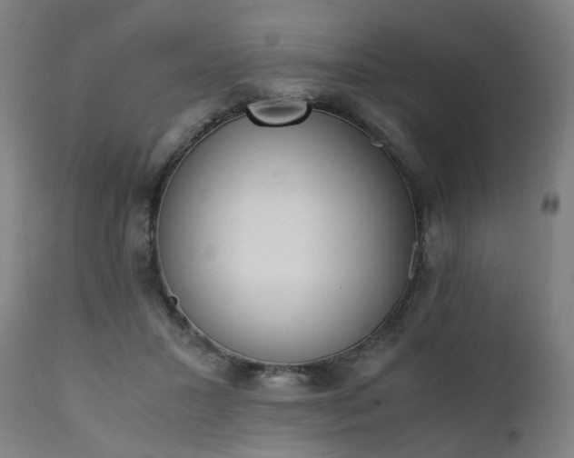 X0000111450407200907201054