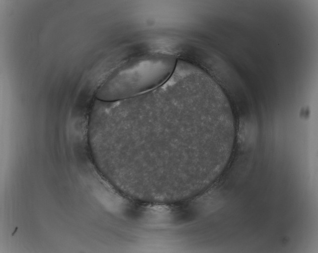 X0000111450409200907201054