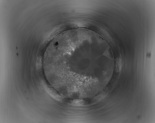 X0000111450410200907201054