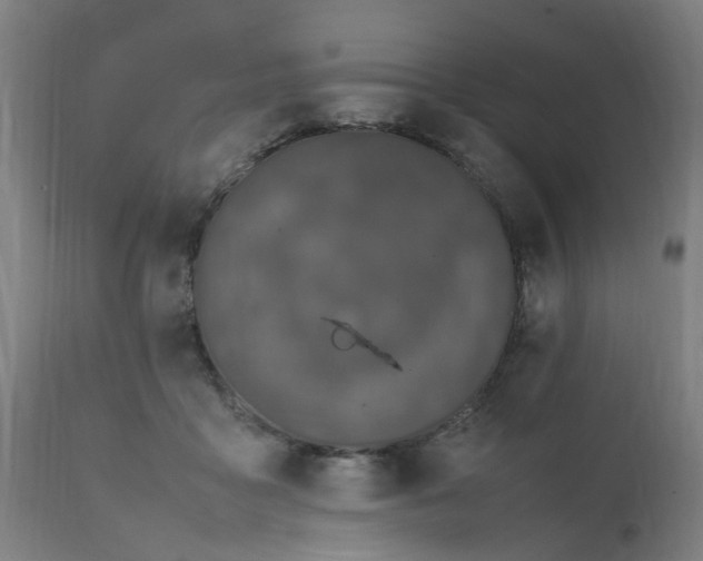 X0000111450411200907201054
