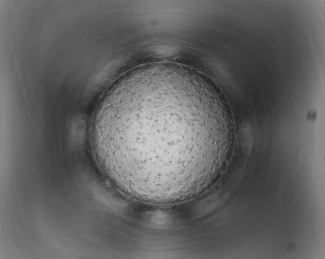 X0000111450412200907201054