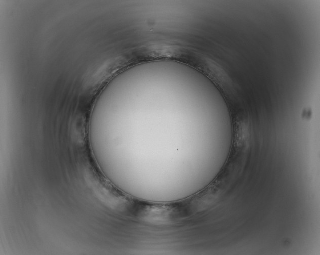 X0000111450414200907201054