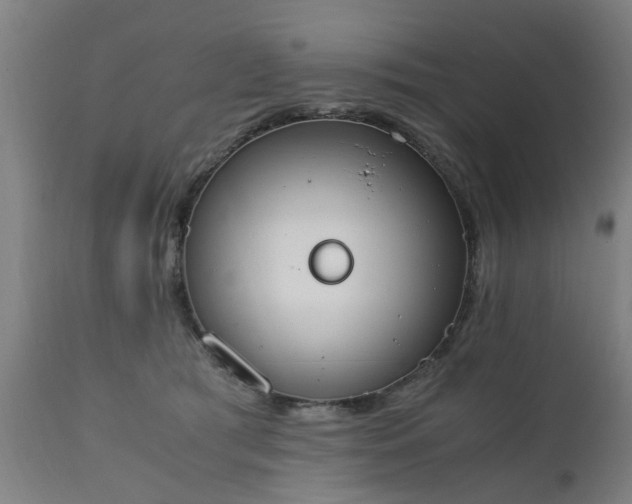 X0000111450417200907201054