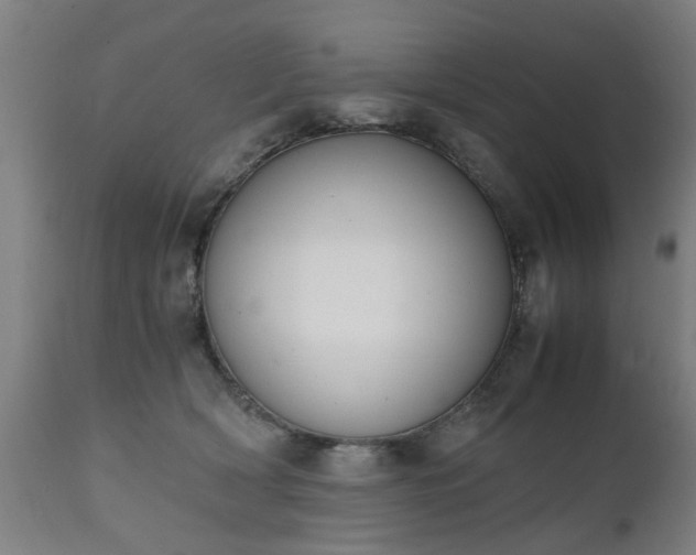 X0000111450418200907201054