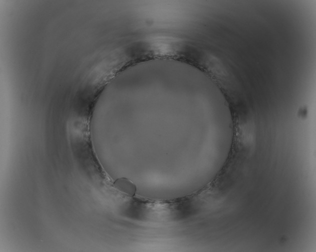 X0000111450419200907201054