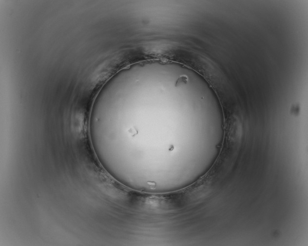 X0000111450420200907201054