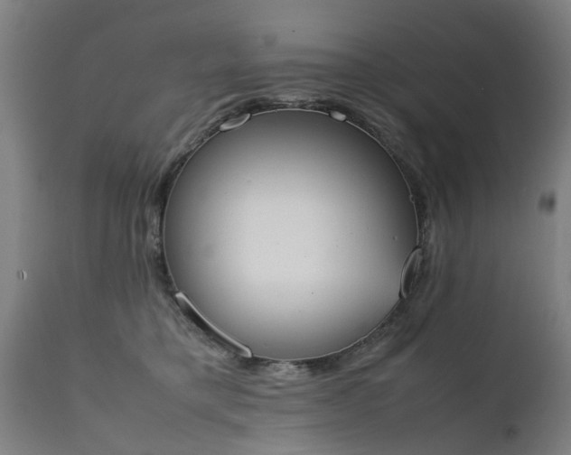 X0000111450421200907201054