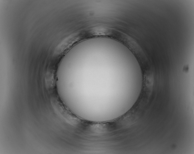 X0000111450422200907201054
