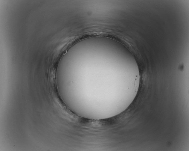 X0000111450423200907201054
