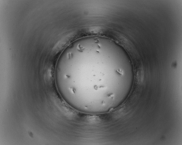 X0000111450424200907201054