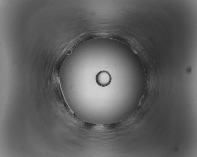X0000111450425200907201054