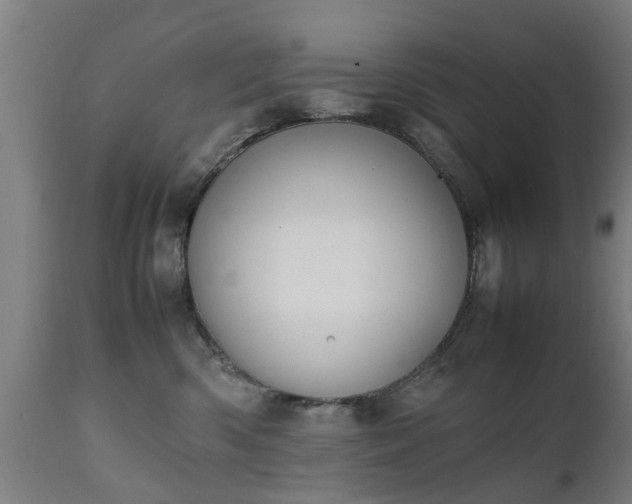 X0000111450426200907201054