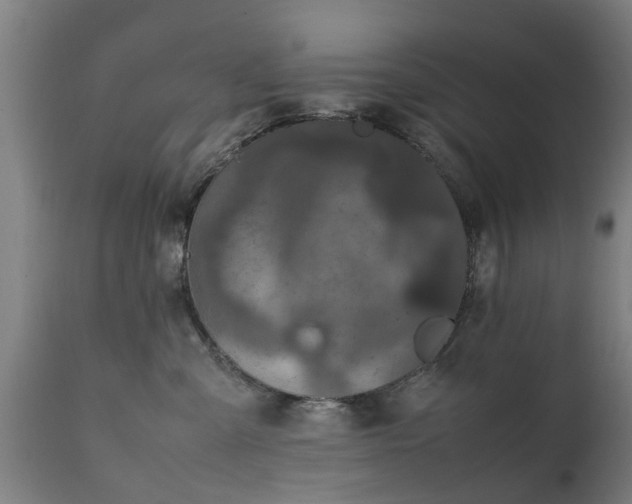 X0000111450427200907201054