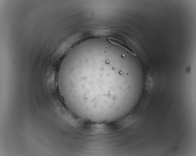 X0000111450428200907201054