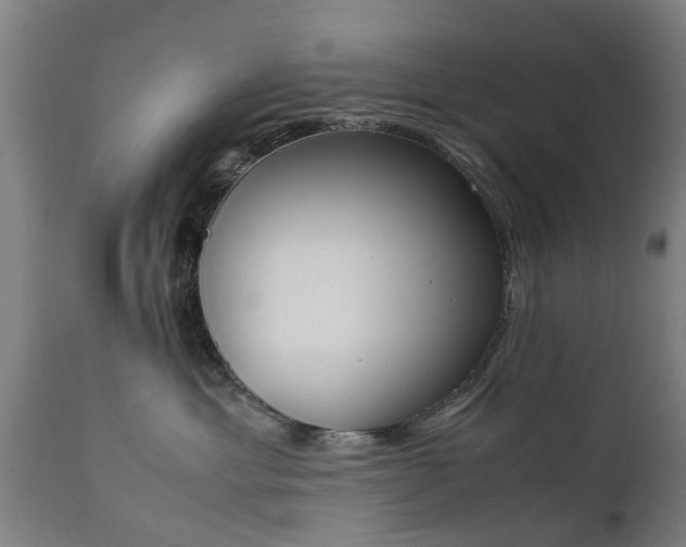 X0000111450429200907201054