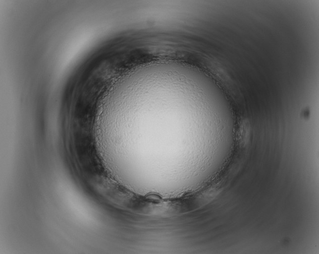 X0000111450430200907201054