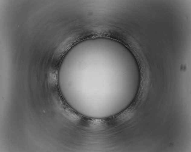 X0000111450432200907201053
