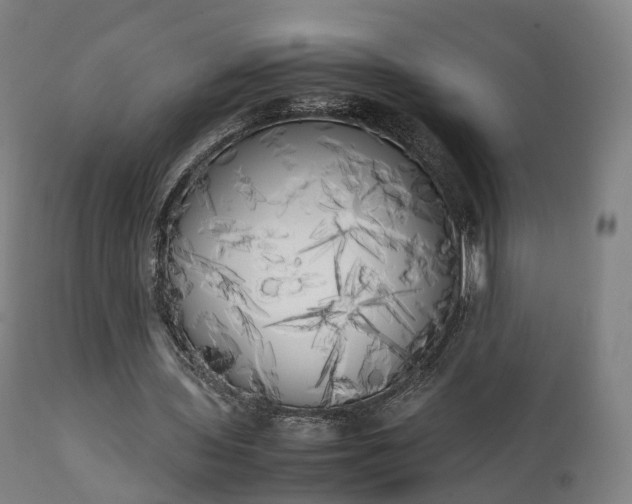X0000111450435200907201053