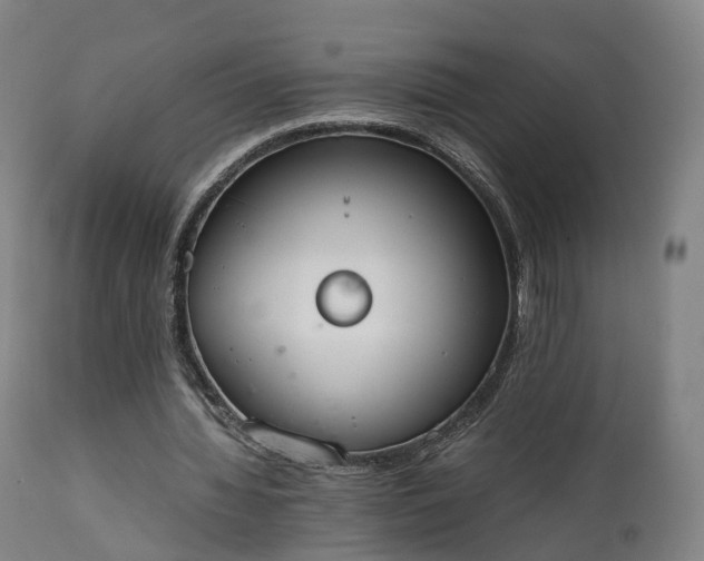 X0000111450436200907201053