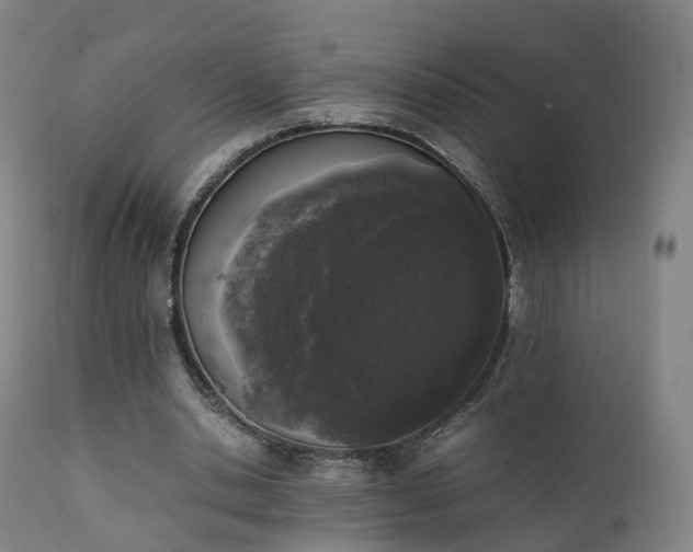 X0000111450438200907201053