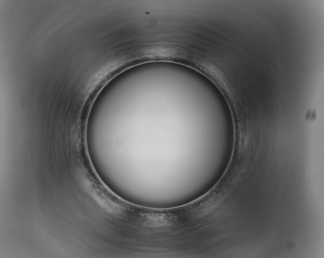 X0000111450439200907201053