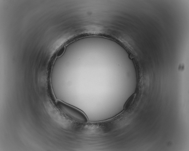 X0000111450440200907201053