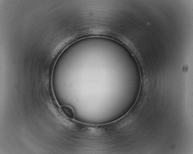 X0000111450442200907201053