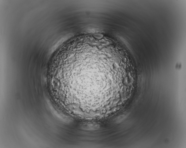 X0000111450443200907201053