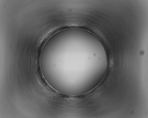 X0000111450444200907201053