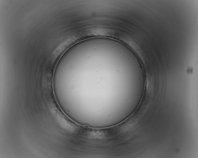 X0000111450445200907201053